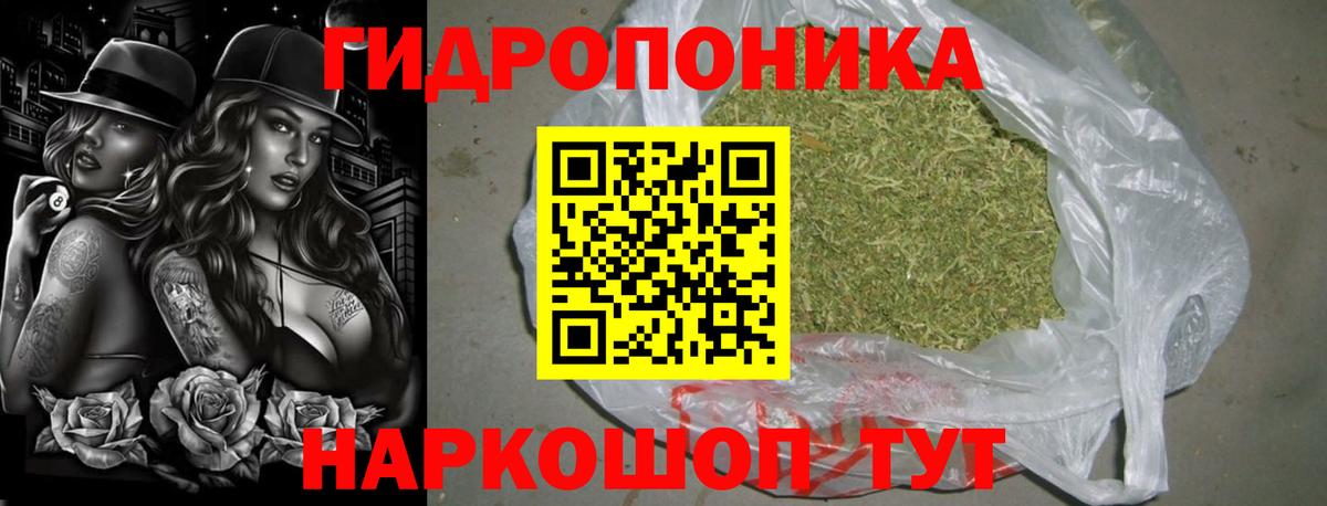 Конопля план Курчатов